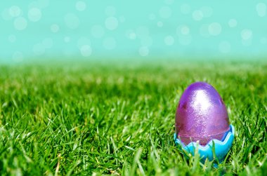 Çim ve gökyüzü arka plan üzerinde Paskalya yortusu yumurta