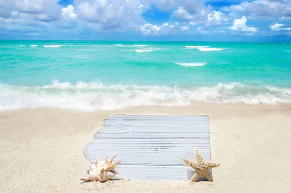 Tablero de madera blanca con concha marina y estrellas de mar en la playa de arena —  Fotos de Stock