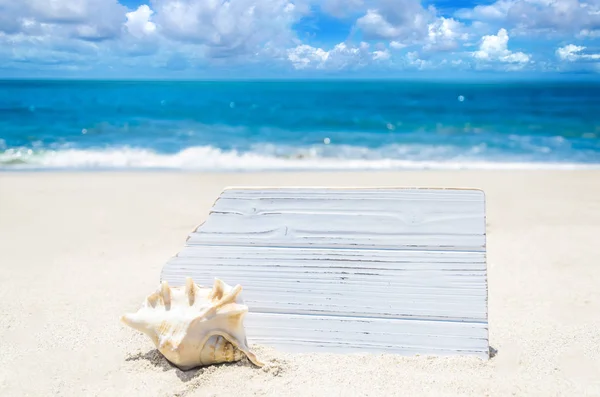 Wit houten bord met zeeschelp op het zandstrand — Stockfoto