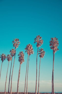 California yüksek palms beach, mavi gökyüzü arka plan üzerinde