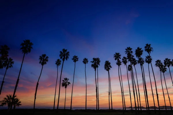 Ηλιοβασίλεμα τροπική παραλία με φοίνικες στη Σάντα Μπάρμπαρα, Californ — Φωτογραφία Αρχείου
