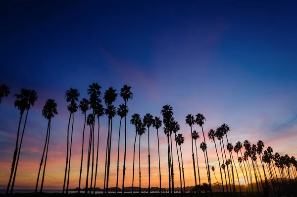 Tropical Beach sunset with Palm trees in Santa Barbara, Californ — Stock Photo, Image