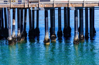 Santa Barbara pier görünümü
