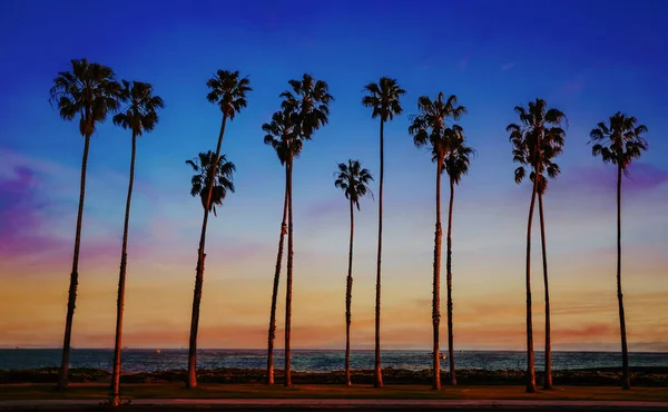 Tropical Beach solnedgången med höjd Palm träd sihouette i Califor — Stockfoto