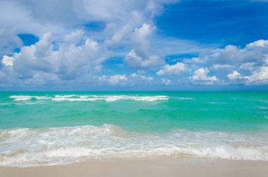 Miami tropikal plaj ve okyanus