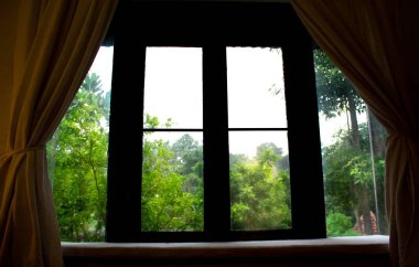 Antika ahşap pencere çerçeveleri bahçedeki ağaçların rahatlamış göründüğüne bakıyor..