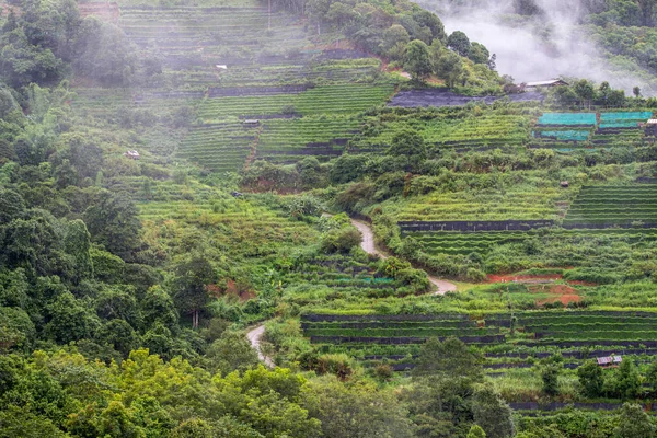 Landschaft der landwirtschaftlichen Flächen der Menschen in fang Bezirk, chiang mai, Thailand von der Spitze des Berges. — Stockfoto