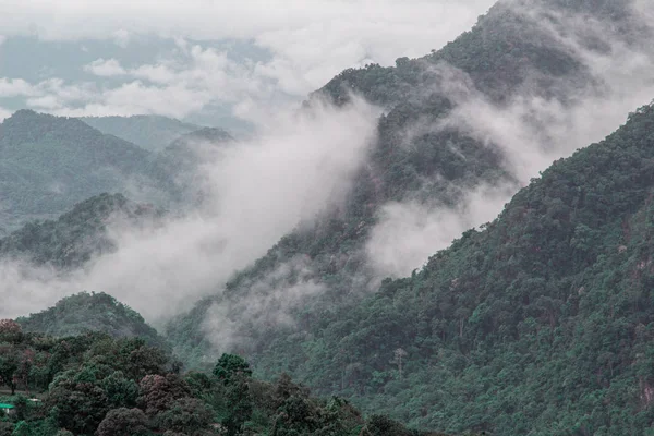 Paisaje de montaña compleja con niebla en el norte de Tailandia . —  Fotos de Stock