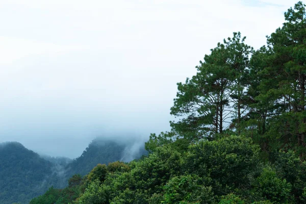 Paisaje de montaña compleja con niebla en el norte de Tailandia . — Foto de Stock