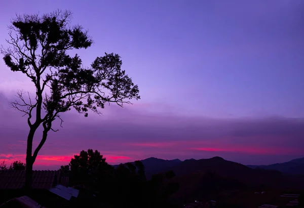 Ландшафтний вид на складну гору з силуетом дерева на фоні заходу сонця ввечері. Простір для тексту . — стокове фото
