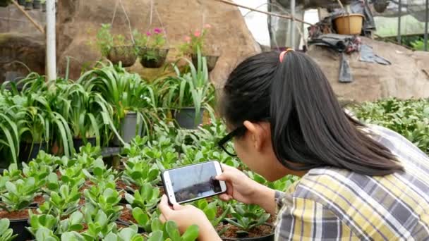 Landwirt Fotografiert Sämlingspflanzen Gewächshaus Und Nutzt Mobiltelefone Für Marketing Technologie — Stockvideo