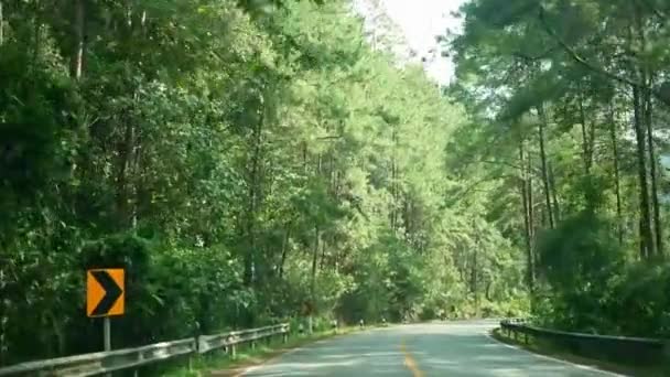由两边的柏油路和热带树木的车内眺望 阳光透过道路直射至火成山山顶 — 图库视频影像