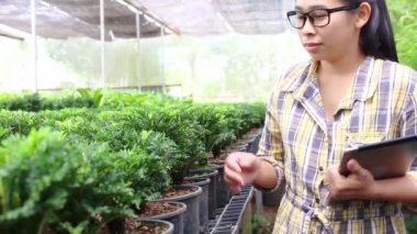 Bahçıvanlar, elinde tabletle serada çalışan genç bir kadın. Teknolojik ve tarımsal kavramlar.