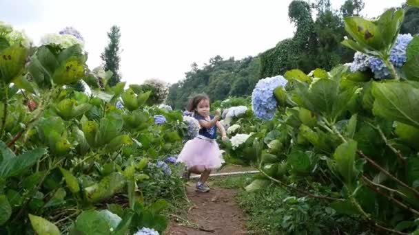 Feliz Niña Asiática Divirtiéndose Jugando Jardín Hortensias Día Verano — Vídeo de stock