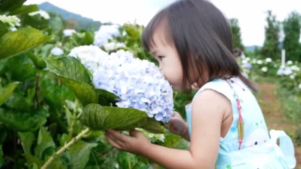 Feliz Niña Asiática Divirtiéndose Jugando Jardín Hortensias Día Verano — Vídeo de stock