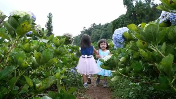 Feliz Niña Asiática Divirtiéndose Jugando Jardín Hortensias Día Verano — Vídeo de stock