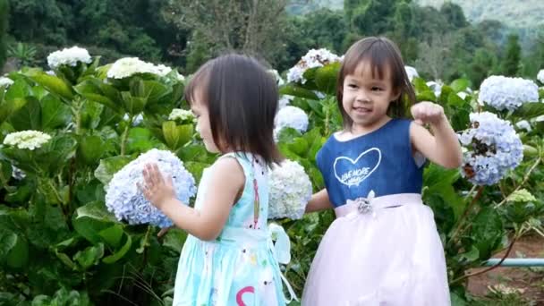 Glücklich Kleine Asiatische Kind Mädchen Mit Spaß Spielen Hortensiengarten Einem — Stockvideo