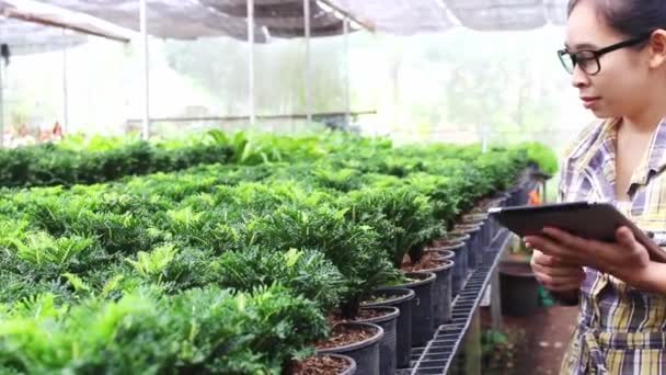 Jardineros Mujer Joven Que Trabaja Invernadero Con Tableta Mano Conceptos — Vídeo de stock