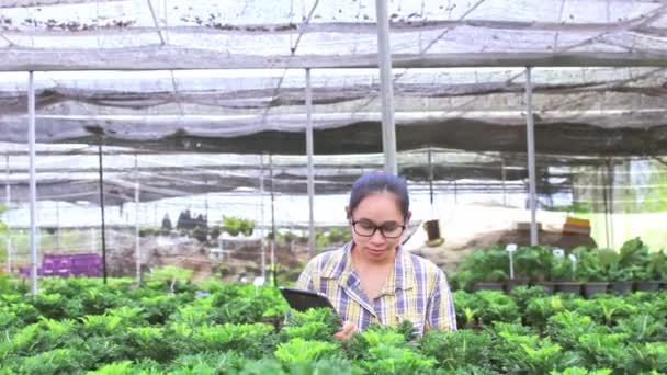 Gardeners Young Woman Working Greenhouse Tablet Her Hand Technological Agricultural — Stock Video