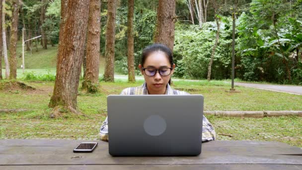 Glücklich Lässig Schöne Frau Arbeitet Laptop Während Sie Nationalpark Sitzt — Stockvideo