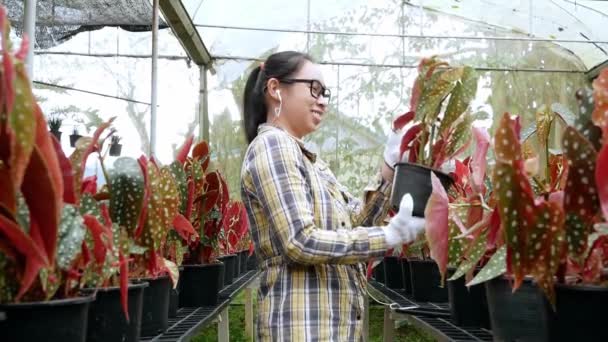 Felici Giardinieri Asiatici Che Ascoltano Musica Smartphone Mentre Lavorano Serra — Video Stock