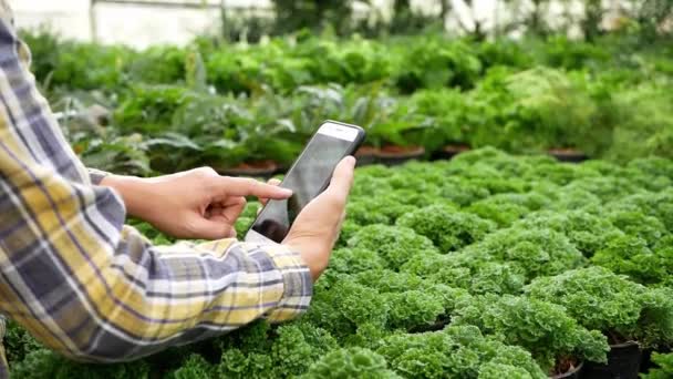 Agricultor Fotografiando Plantas Semillero Invernadero Utilizando Teléfono Móvil Para Comercialización — Vídeo de stock