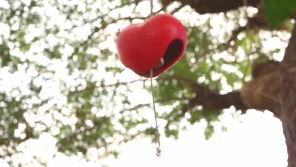 Woman Caught Red Heart Shape Ceramic Wind Chimes Hanging Branch — ストック動画