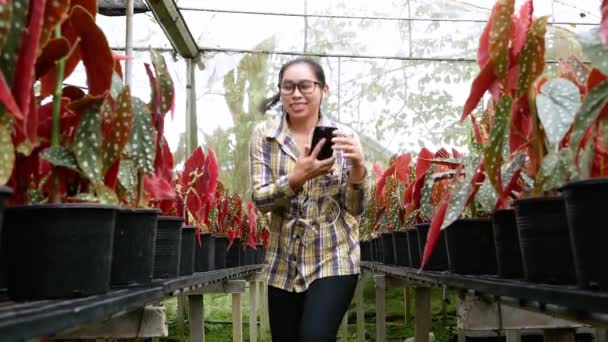 Felices Jardineras Asiáticas Escuchando Música Smartphone Mientras Trabajan Invernadero — Vídeos de Stock