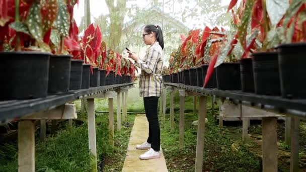 Felices Jardineras Asiáticas Escuchando Música Smartphone Mientras Trabajan Invernadero — Vídeos de Stock