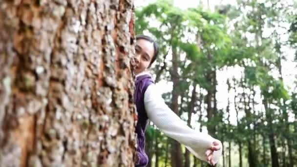 Ευτυχισμένη Ασιάτισσα Που Αγκαλιάζει Ένα Μεγάλο Δέντρο Χαμογελαστή Φατσούλα Στο — Αρχείο Βίντεο