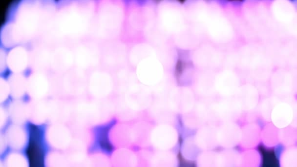 Purple Abstract Bokeh Background Light Thai Lanna Lantern Night Concepts — Stock Video