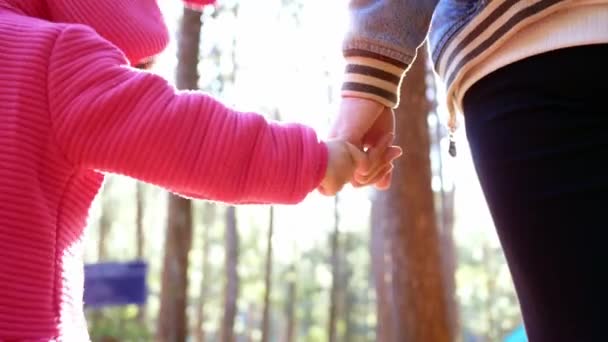 Lycklig Mor Och Två Döttrar Gick Hand Hand Vandrade Tillsammans — Stockvideo