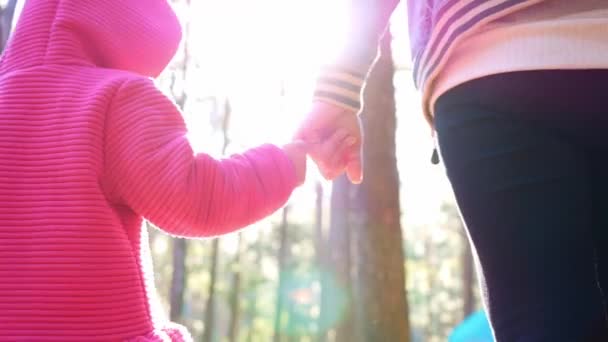 快乐的妈妈和女儿手牵着手走在松林里 — 图库视频影像