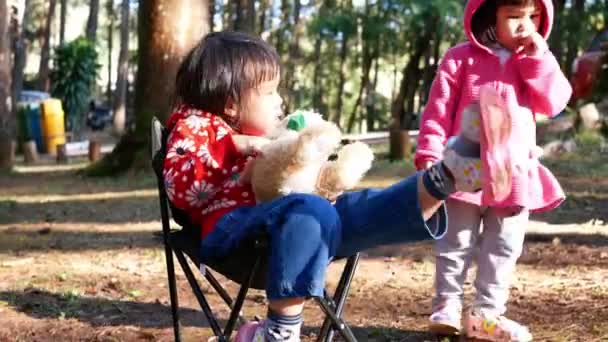 Menina Criança Asiática Sentada Cadeira Enquanto Vai Acampar Floresta Pinheiros — Vídeo de Stock