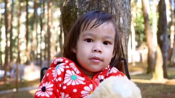 Menina Criança Asiática Sentada Cadeira Enquanto Vai Acampar Floresta Pinheiros — Vídeo de Stock