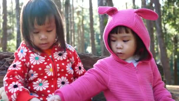 Feliz Niña Asiática Con Hermana Abrazándose Besándose Juntos Bosque Pinos — Vídeo de stock