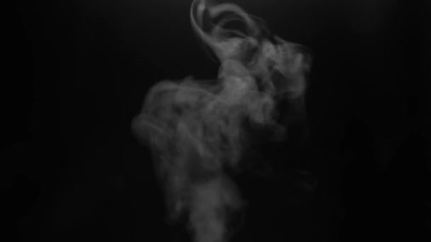 Close White Steam Smoke Shot Black Background Concept Abstract Backdrop — Stock Video