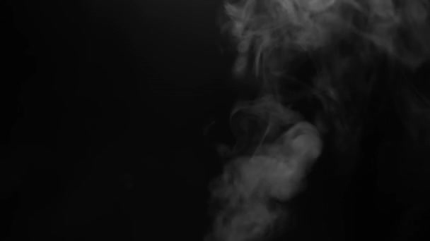 Close White Steam Smoke Shot Black Background Concept Abstract Backdrop — Stock Video