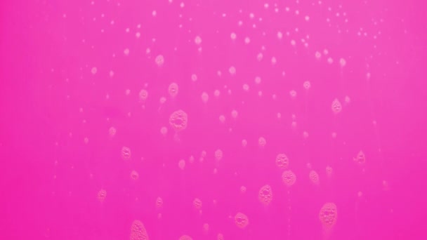 Bulles de mousse de savon coulant sur fond rose .