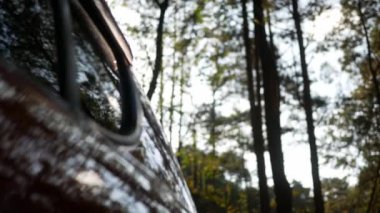 Asyalı kadın bahçede koşmadan önce spor uygulamasını ayarlamak için bileğindeki akıllı saatin ekranına dokunuyor.. 