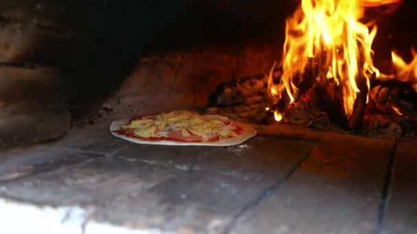 自家製でおいしいモッツァレラチーズピザ 粘土オーブンで調理 背景に木の炎と — ストック動画