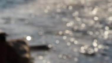 Nehir suyunun çözünmüş görüntüsü sabahları yavaşça doğal kaya plajlarından akıyor. Soyut doğa arkaplanı.