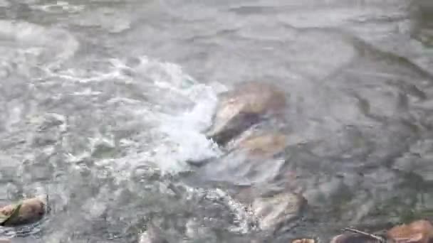 Vue Eau Douce Ruisseau Rivière Qui Coule Lentement Travers Plage — Video