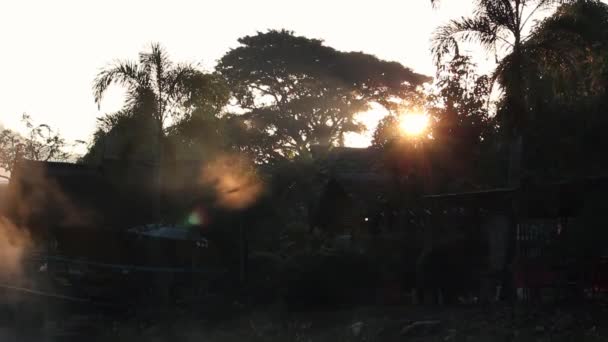 朝の田園地帯に立ち並ぶ木々や陽射しの美しい景色 平和と静けさとリラックスの概念 — ストック動画