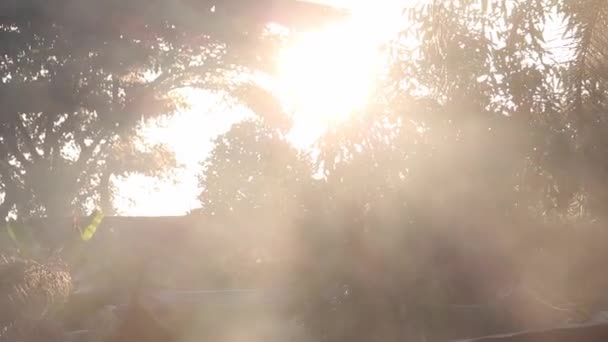 Piękne Widoki Drzew Światło Słoneczne Wschodzące Wsi Rano Pojęcia Ciszy — Wideo stockowe