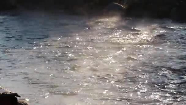 早朝に蒸気で自然の岩のビーチをゆっくりと流れる新鮮な川の流れの水の眺め 田舎の美しい霧の川 — ストック動画