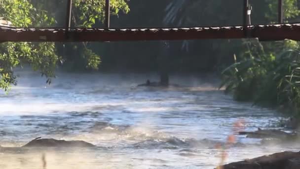 清澈的河水缓缓流过天然岩石滩 清早蒸腾 竹桥横渡江面 景色优美 — 图库视频影像
