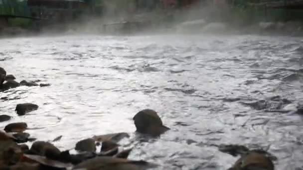 Uitzicht Vers Rivierwater Langzaam Stromend Door Natuurlijke Rotsstrand Met Dampen — Stockvideo