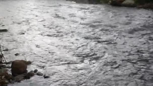 Vue Eau Douce Ruisseau Rivière Qui Coule Lentement Travers Plage — Video