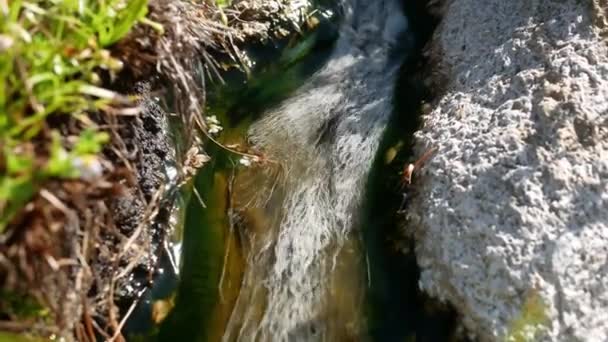 Foto Movimiento Aguas Termales Volcánicas Que Fluyen Través Roca Natural — Vídeos de Stock